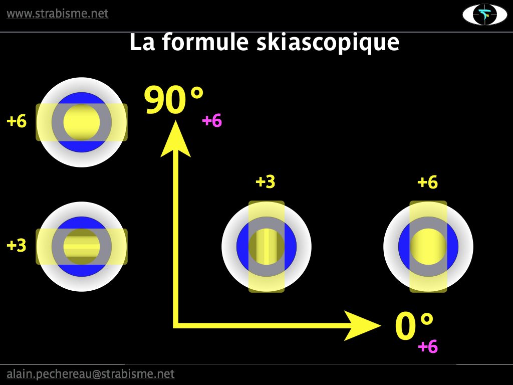 10AP-FormSkia05.png