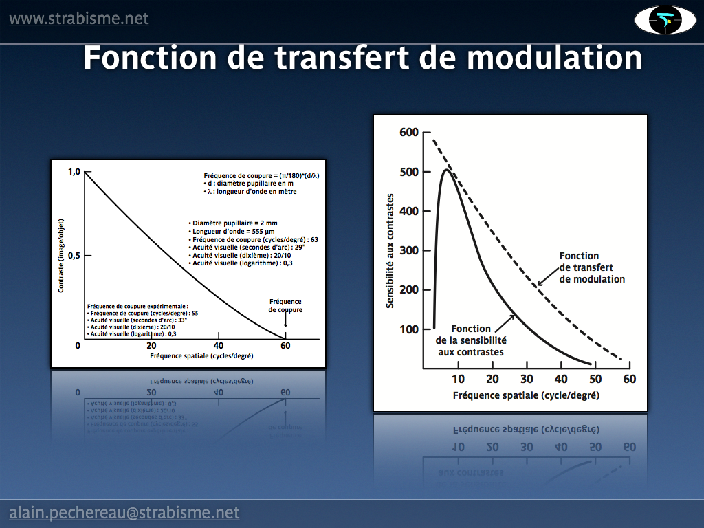 10AP-PhysiologieAV07.png