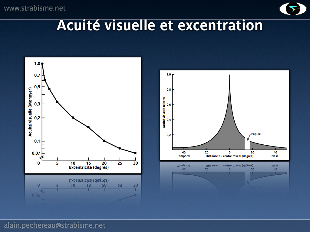 10AP-PhysiologieAV08.png