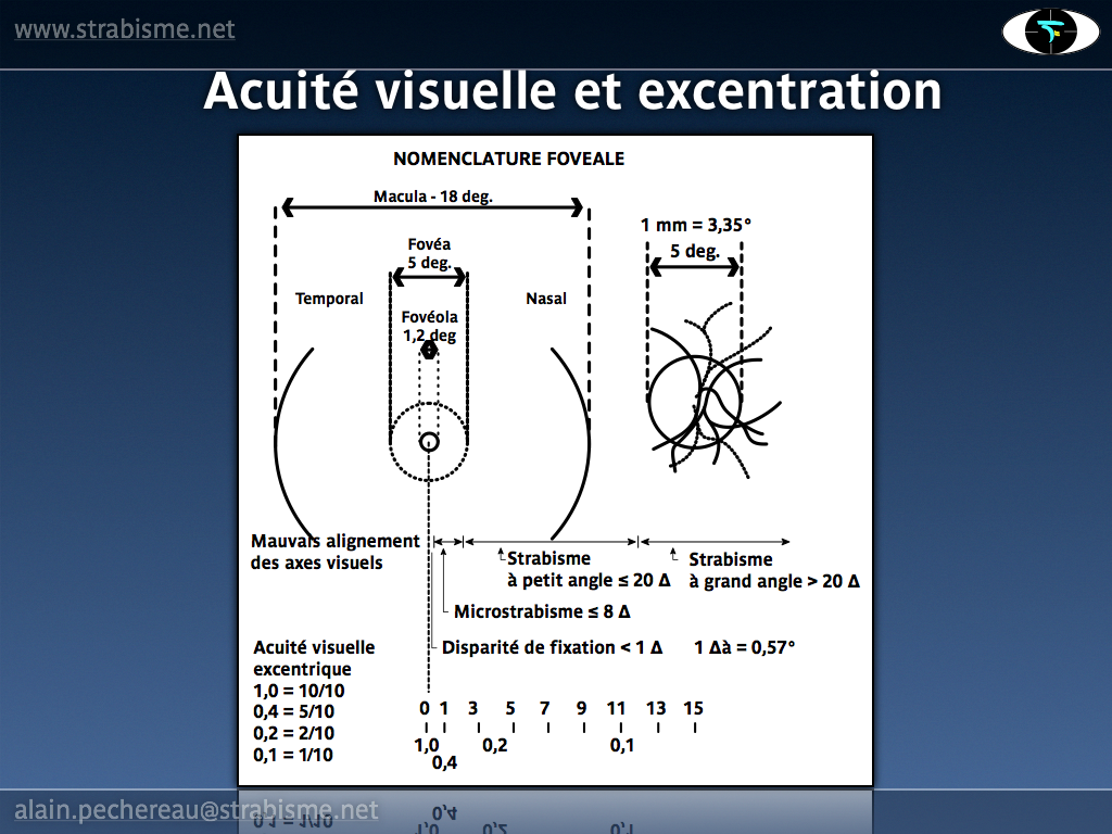 10AP-PhysiologieAV09.png