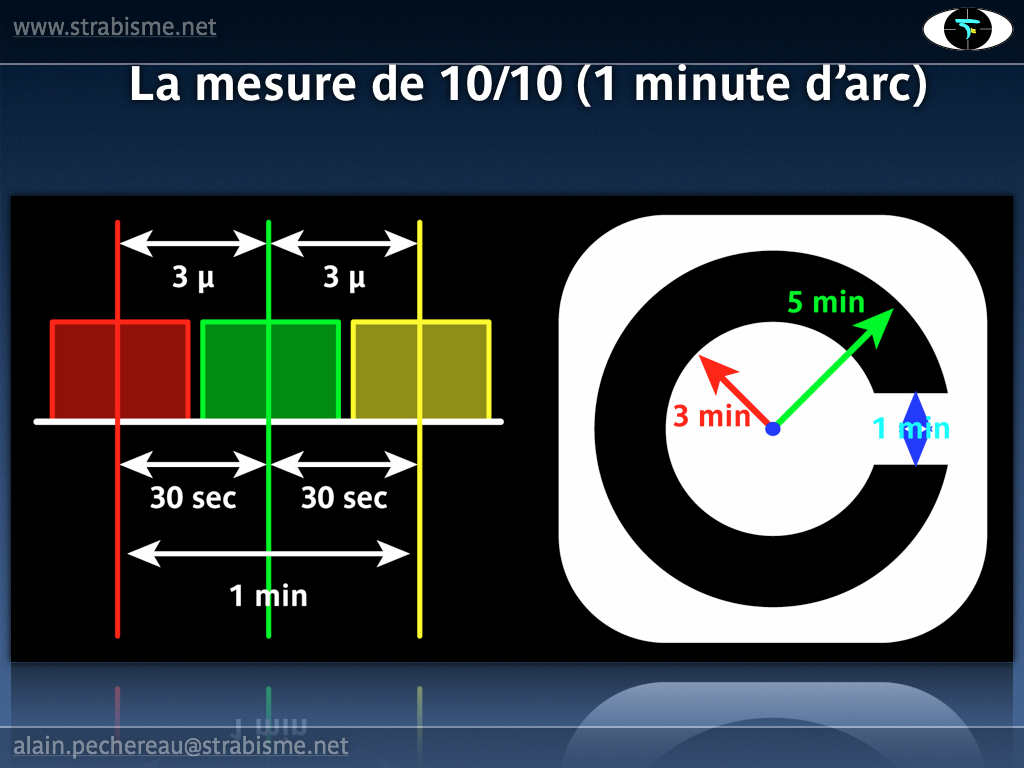 10AP-PhysiologieAV15.png