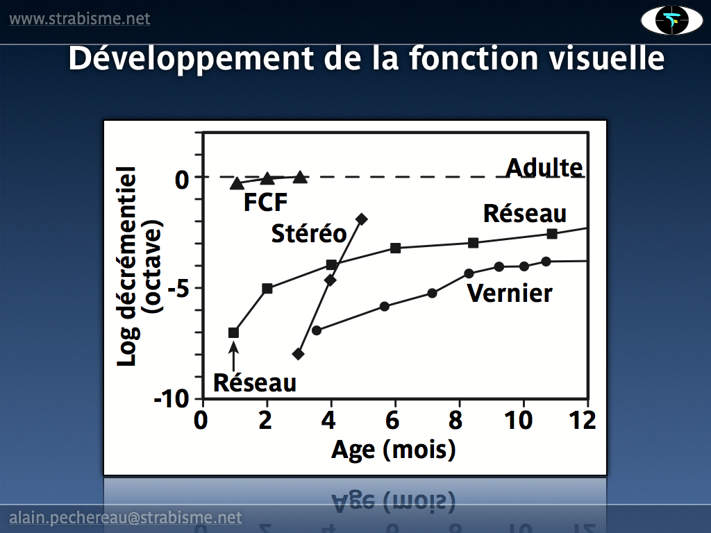 10AP-PhysiologieAV43.png